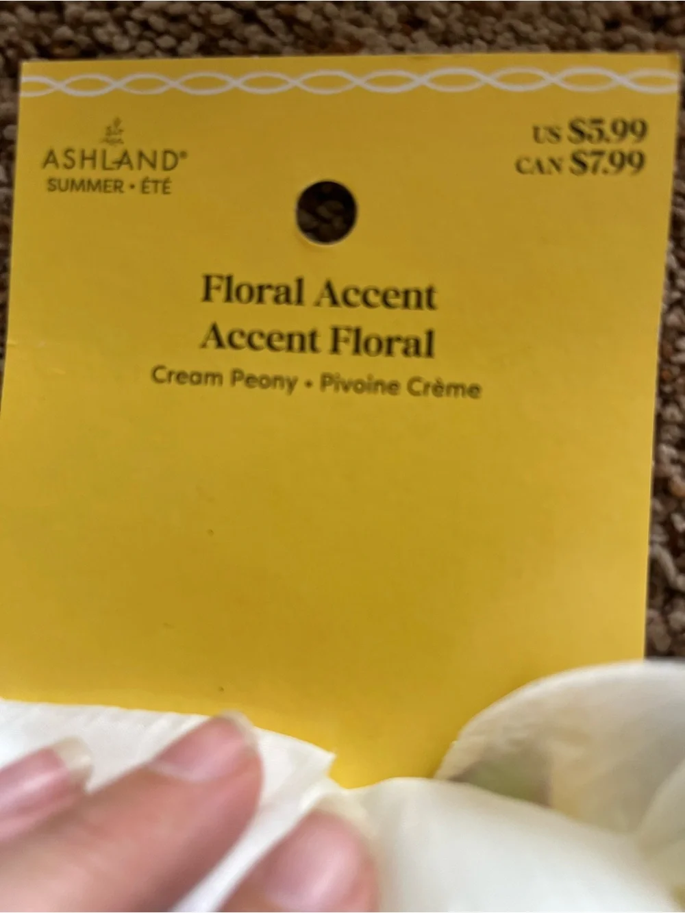 Ashland Artificial Cream Peony Flower Wall Decor - Cream with Yellow Center (5)